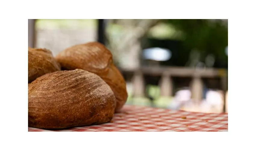 Trattoria Al Brolo - Monastero di Astino