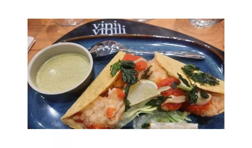Vini & Vinili