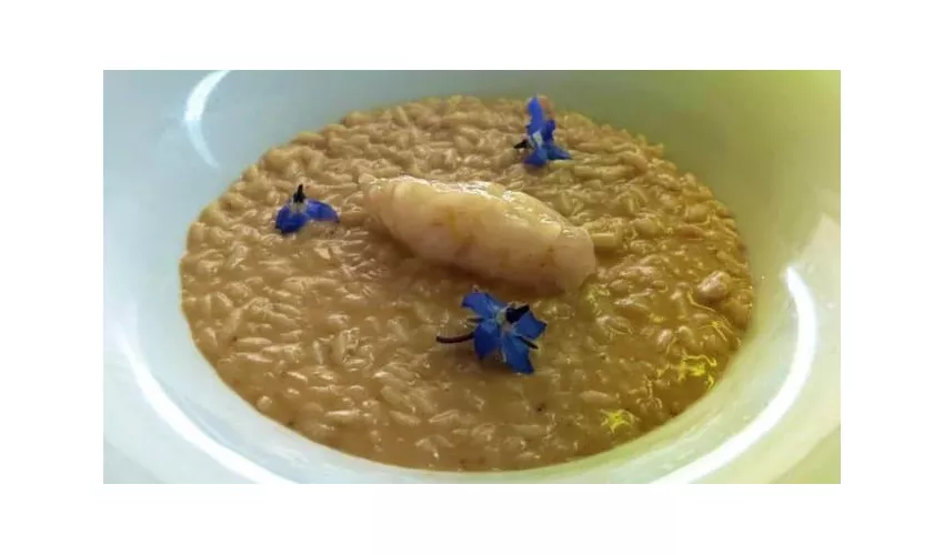 Bagno Primavera Versilia