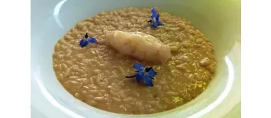 Bagno Primavera Versilia