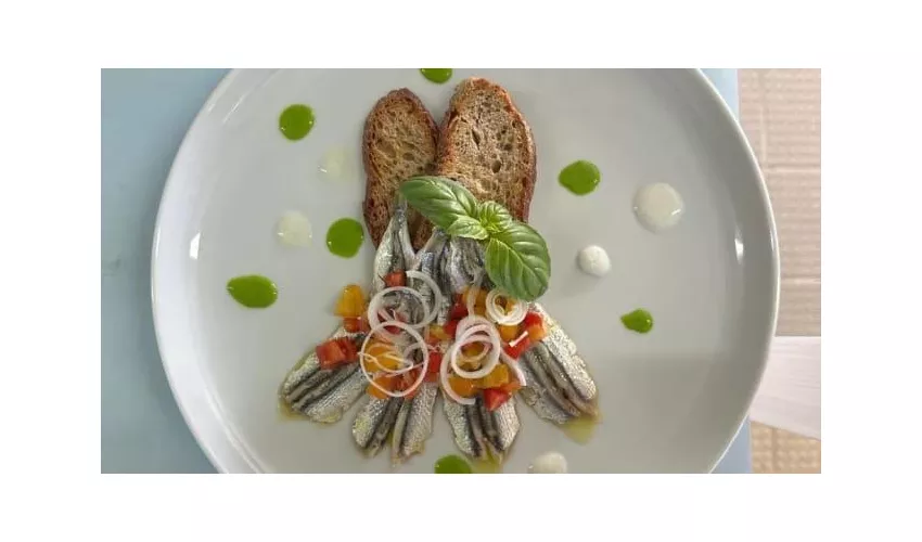 Bagno Primavera Versilia