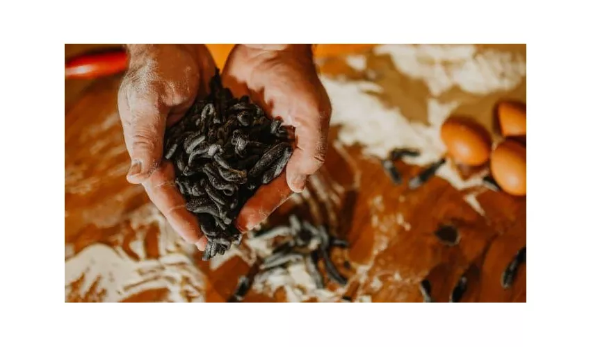 Maxim Turrisi Restaurant