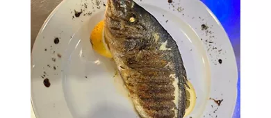 Bedda Sicilia 398 Ristorante | Pizzeria Palermo
