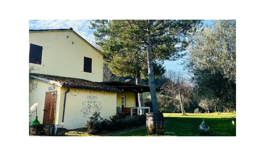 La Collina dei Magari