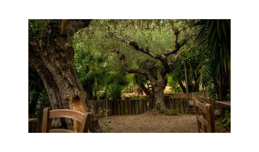 Agriturismo Col Morino