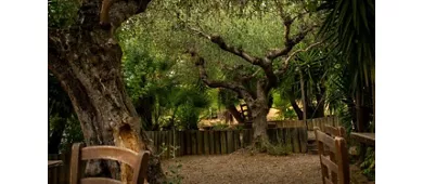 Agriturismo Col Morino