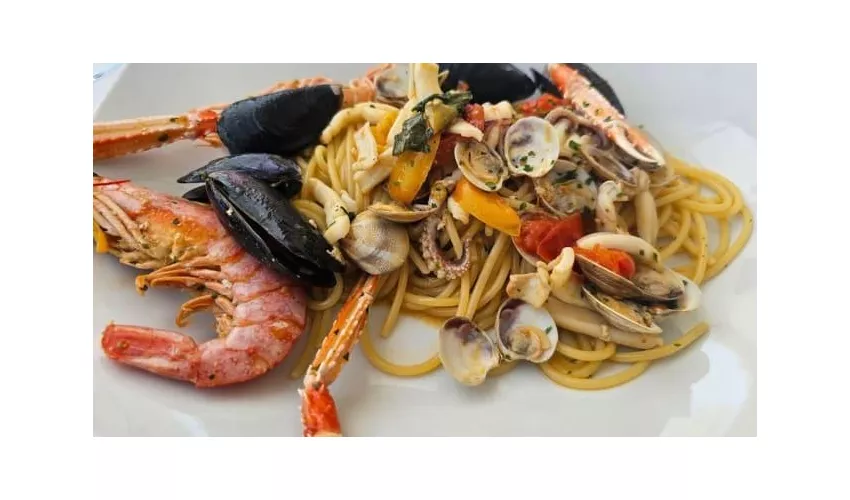 Stella Marina