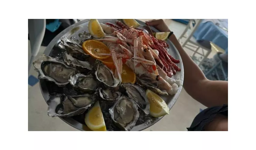 Stella Marina