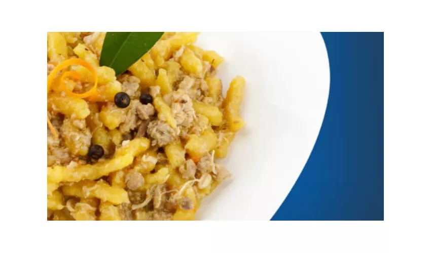 Löwengrube Nichelino