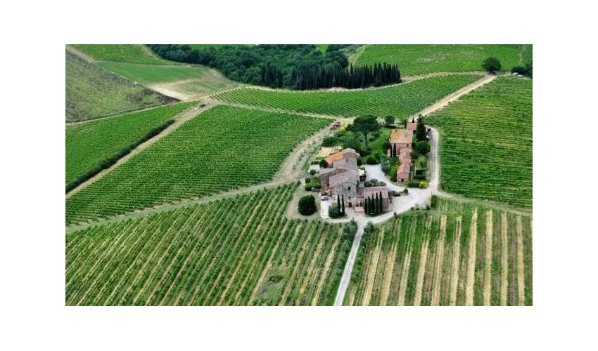Palazzo Vecchio • Vino Nobile di Montepulciano