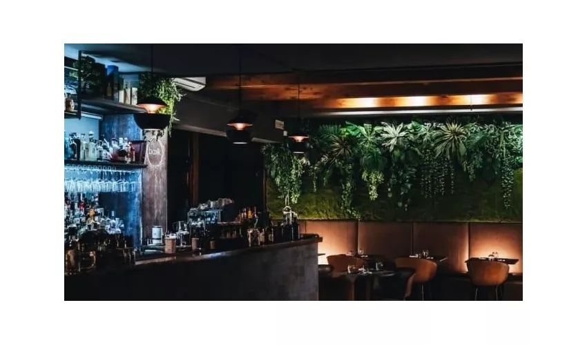 Bakk Gintoneria