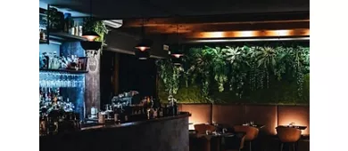 Bakk Gintoneria