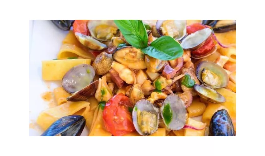 Hotel Vela Velo Club