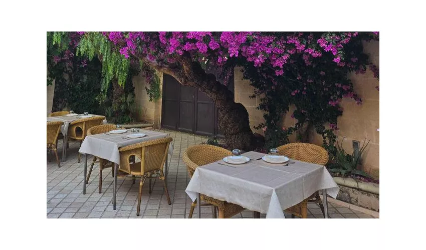Ristorante Pizzeria Santa Sofia