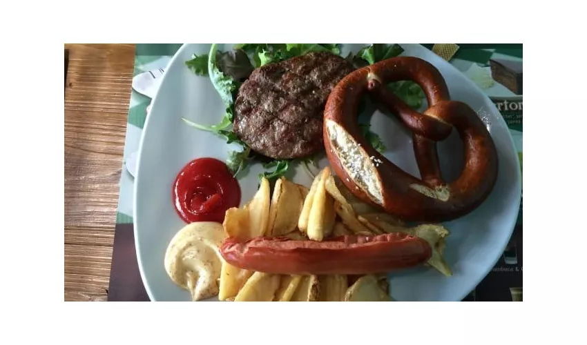Wiener Haus Bologna