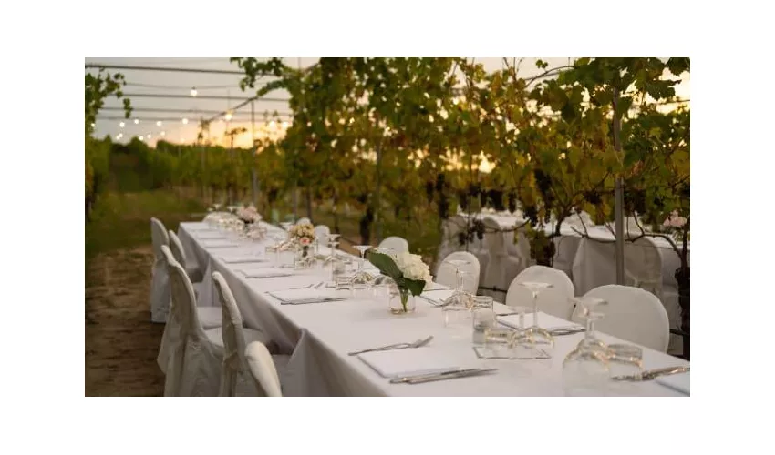Podere Riosto Cantina e Agriturismo Bologna