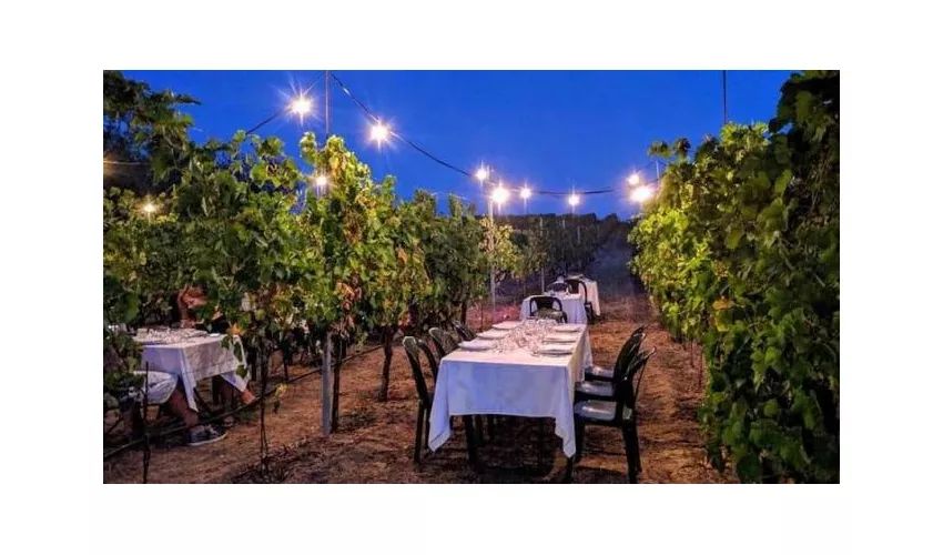 Podere Riosto Cantina e Agriturismo Bologna