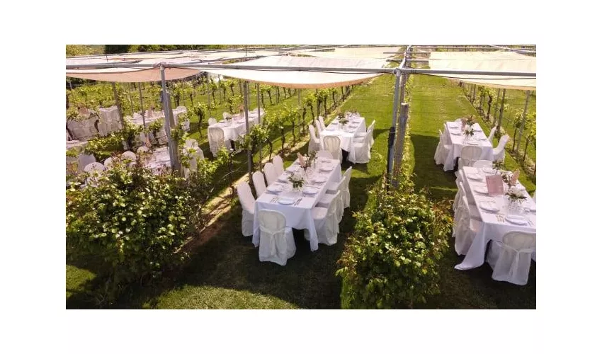 Podere Riosto Cantina e Agriturismo Bologna