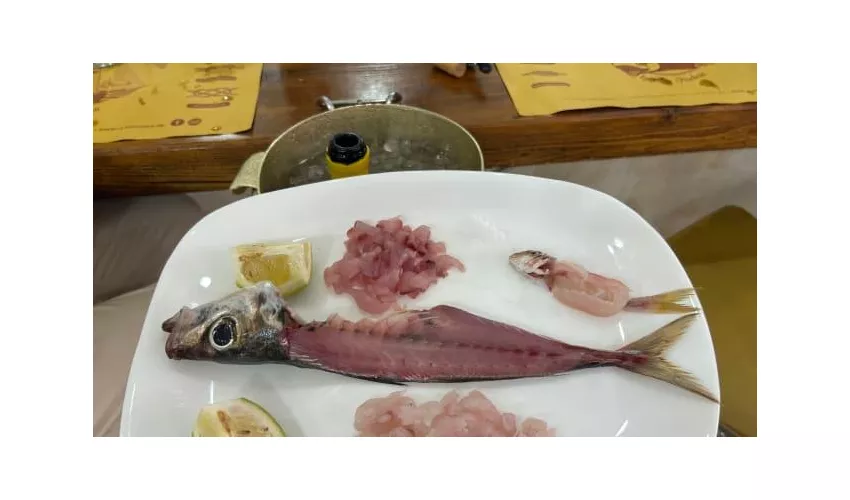 La Pescheria - marotta Fish & Oyster bar