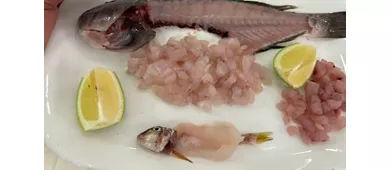 La Pescheria - marotta Fish & Oyster bar