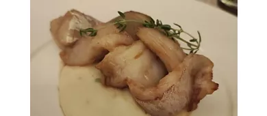 Pamperi
