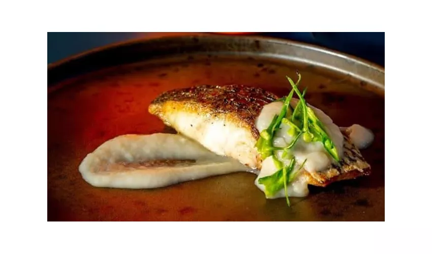 Crudo Food Factory