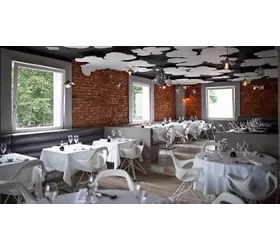 Light Contemporary Food