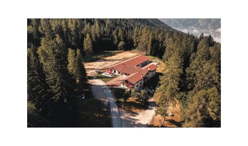 Forest Camp Val di Gresta