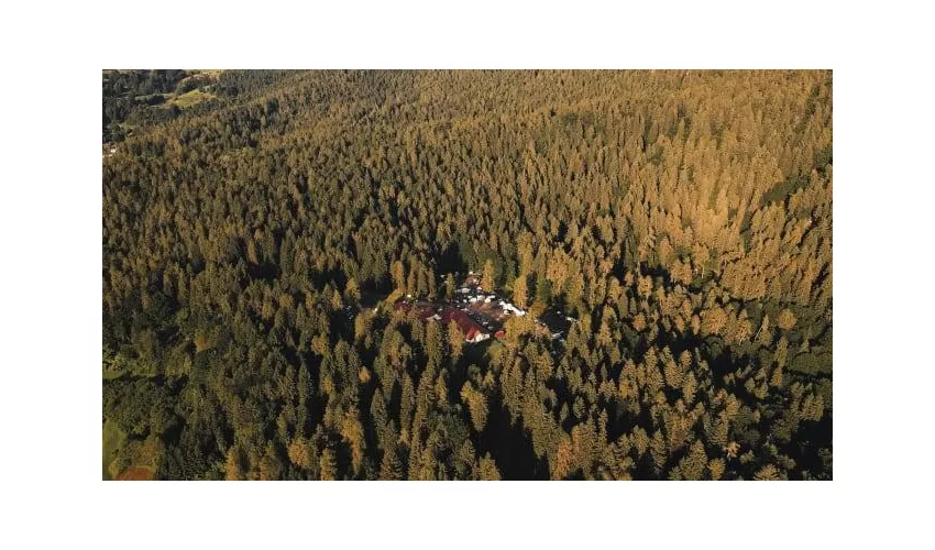 Forest Camp Val di Gresta