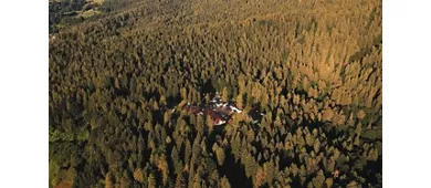 Forest Camp Val di Gresta
