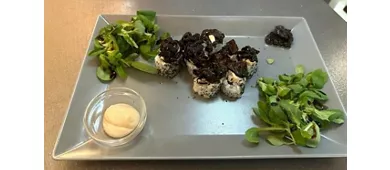 SushItalia