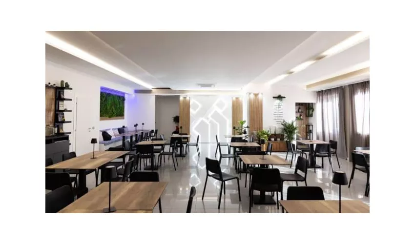 Bluelion : Bar | Ristorante | Sala Eventi