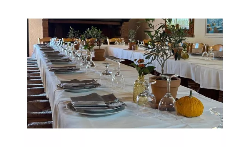 agriturismo la cerbana