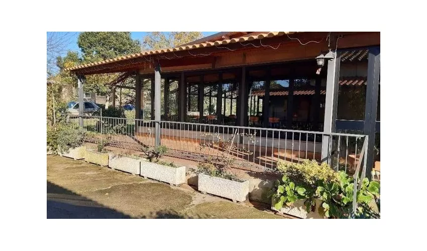Agricoltura Nuova - Castel di Leva
