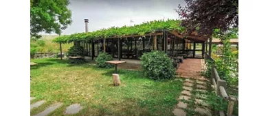 Agricoltura Nuova - Castel di Leva