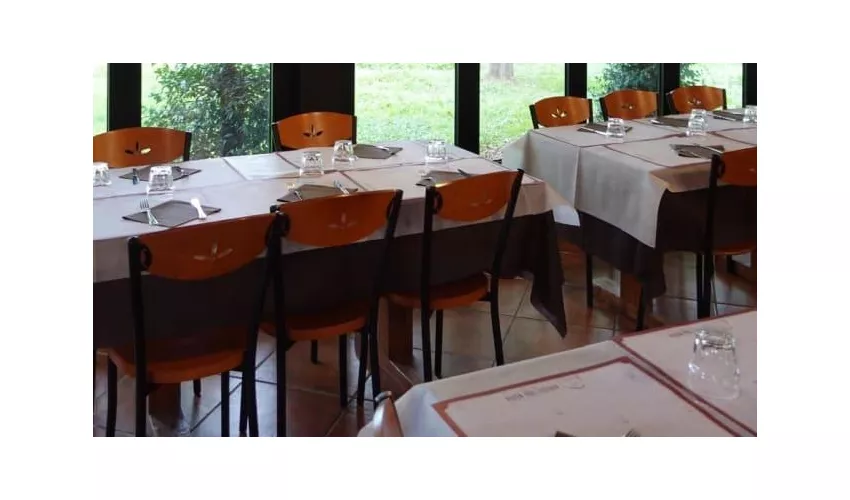 Agricoltura Nuova - Castel di Leva
