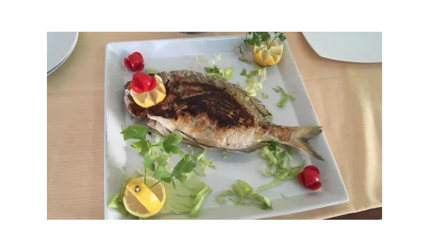 Ristorante Tarrok