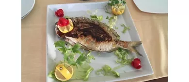 Ristorante Tarrok