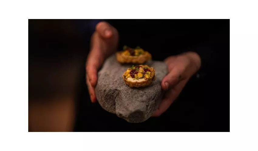 OMNIA Plant-Based Restaurant