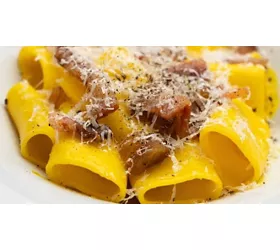 Dr. Cat | Pet Lounge Bistrot