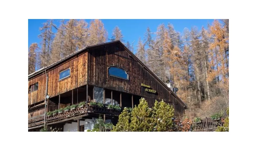Alajmo Cortina