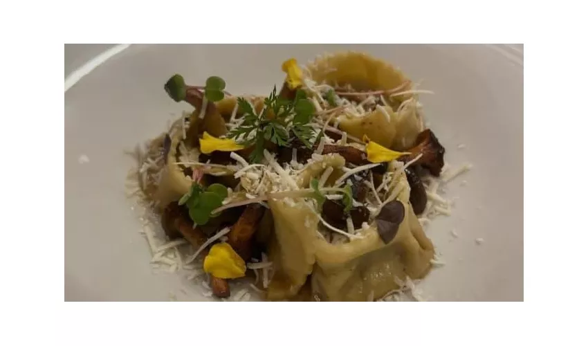 Coci Vini e Fornelli