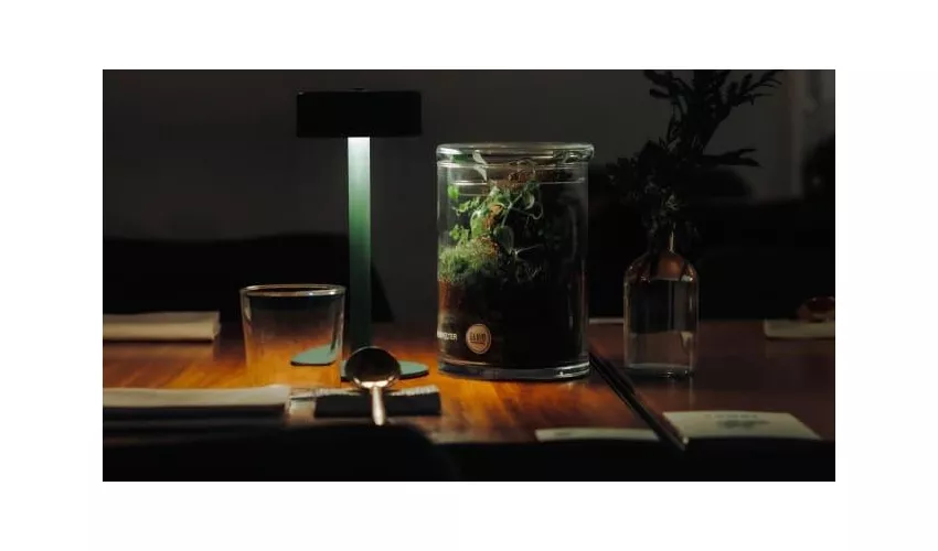 Garum - Cucina Indipendente