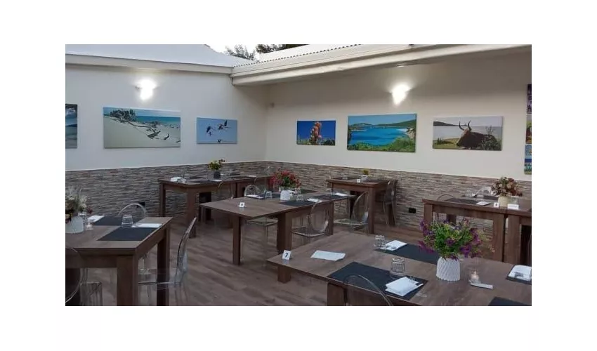 Tanca Bar Pizzeria