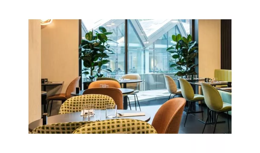The Longevity Kitchen Milano