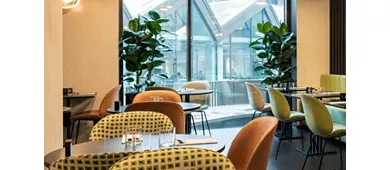 The Longevity Kitchen Milano