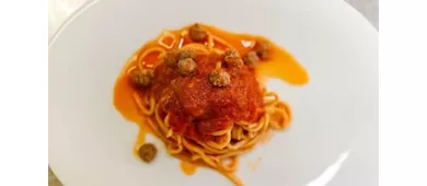 Edo's Cinciarinho