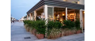 Caffè Godot
