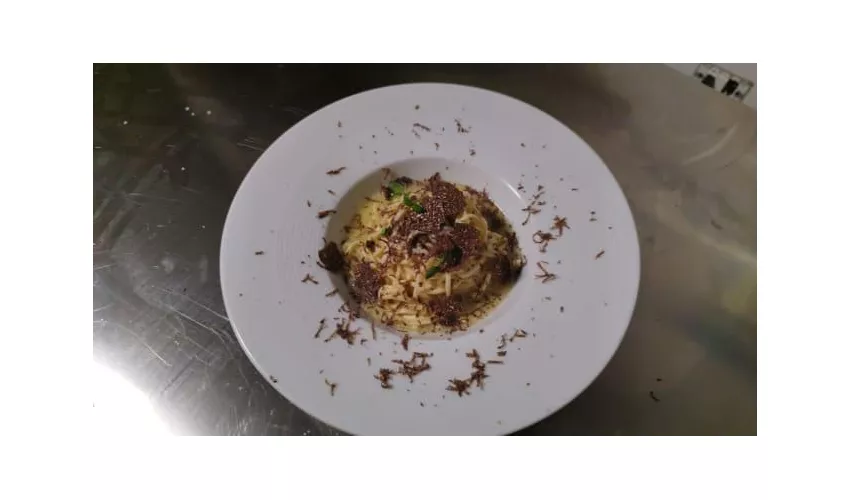 Vito Food Music Love