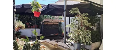 l'officina della carne